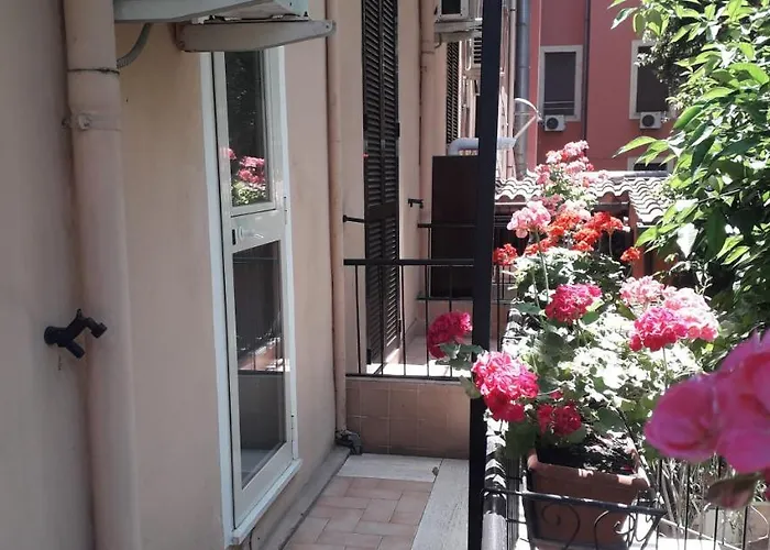 Gioia